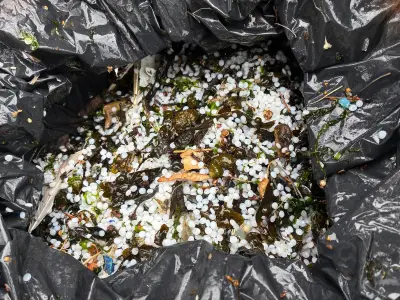 River Tyne nurdles spill: Volunteers call for national emergency