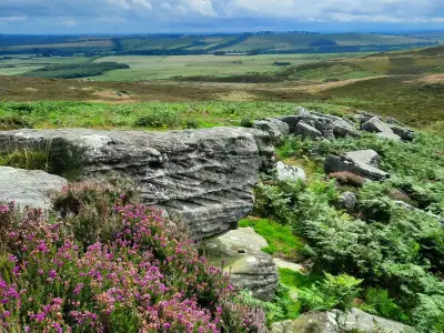 Rothbury Estate purchase within 'touching distance' after huge donations