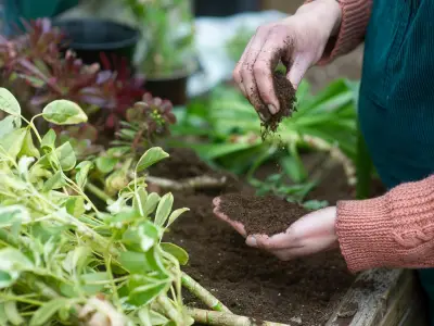 Sage green veggie bed planter cheaper than Amazon at £68