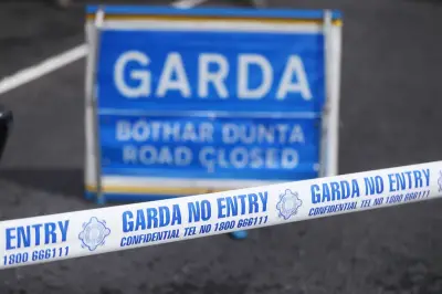 Several dead in M9 head-on collision in Co Kildare