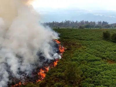 Torfaen wildfire carbon emissions fourth highest in world