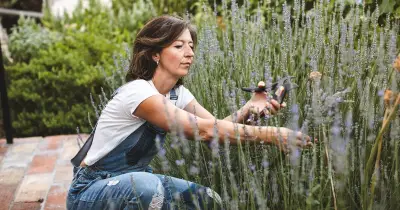 Tough Plants That Survive August Heat and Holidays