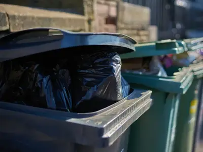 Two kitchen spices that keep flies and maggots out of wheelie bins