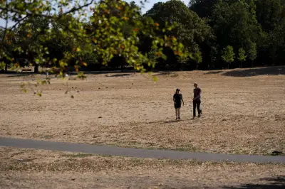 UK braces for 36C heat as health alerts issued