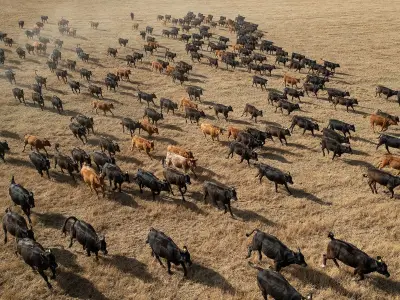 UK drought: England looks like 'western frontier' in dramatic photos