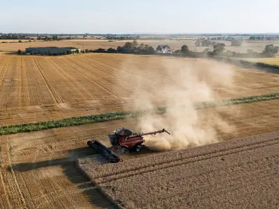 UK faces food shortages after four heatwaves as drought hits