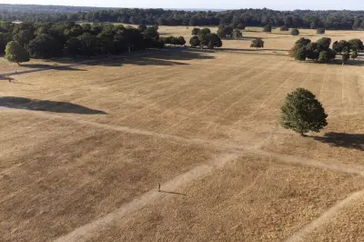 UK heat health alerts as temperatures to hit 33C next week
