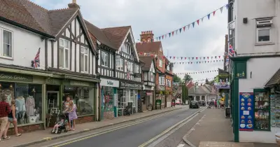 UK's New Forest named top European spot to escape crowds