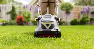 Use Epsom Salt on Lawns for Greener, Thicker Grass