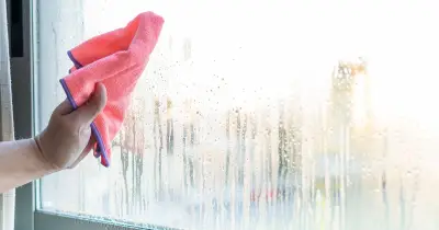 Washing-up liquid trick stops bathroom window mould