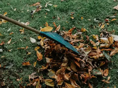 Welsh Gardeners: 5 September Tasks for a 'Huge Difference'