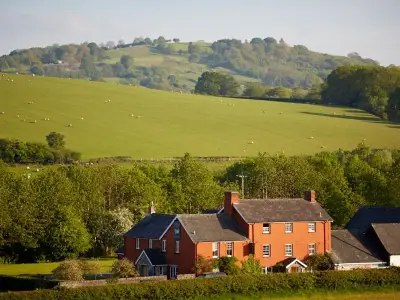 Welsh Hills Pub Felin Fach Griffin: A Superb Supper Experience