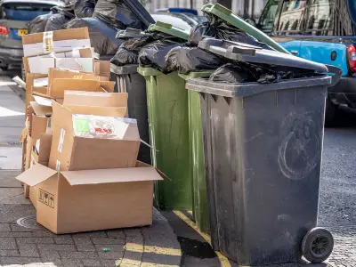 What to Do With Too Much Cardboard After a House Move