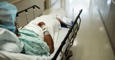 White House Shuts Down Organ Donation Group Over Safety Failures