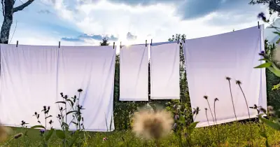 Whiten stained bed sheets in 30 minutes with 1 natural item hotels use