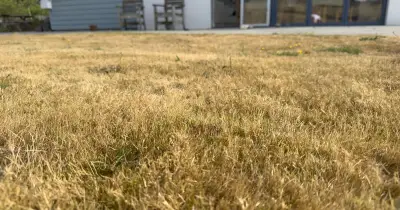 Your legal rights to water plants during a hosepipe ban
