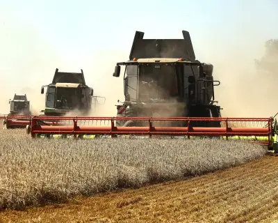 Zelenskyy warns Egypt of food supply threat from Russian strikes