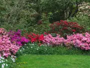 1 Item to Help Plants Thrive Despite Hosepipe Ban