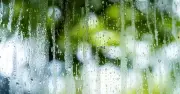 £1 kitchen staple that helps prevent window mould and condensation