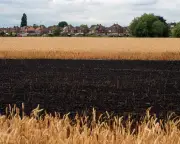 10 climate crisis policies Britain needs now