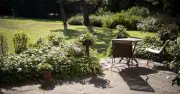 11 Heatwave-Proof Plants for Your Garden
