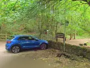 11-Year-Old Girl's Body Recovered Near Gorebridge Woodland