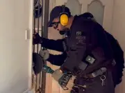 113 cannabis plants found in Bolton raid on Hill Cot Road