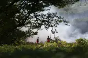 120+ firefighters battle 'devastating' New Forest heathland blaze
