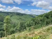122m meteorological mast approved for Brechfa Forest wind farm site