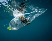 1.3m plastic bottles collected in a day in global volunteer ocean cleanup