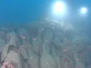 2,000-year-old Roman shipwreck found off Sicily coast