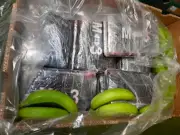 £232m cocaine found in banana boxes at Essex port