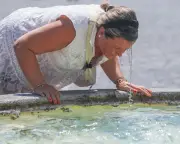 35,000 Excess Deaths in Europe Linked to Back-to-Back Heatwaves