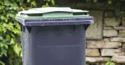35p Vinegar Stops Flies and Maggots in Bins, Expert Says