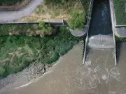 85% of England's rivers fail water quality tests, Environment Agency finds