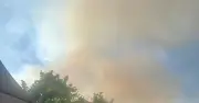 A31 fire: Motorists urged to flee as New Forest wildfire erupts