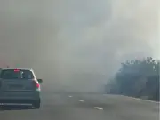 A31 wildfire: Drivers told to flee cars as 26 engines battle blaze