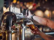 Abeerteifi Beerfest: Three-Day Festival with Live Music in Cardigan