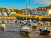 Aberaeron councillor urges parents to discuss animal welfare after crabs harmed