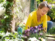 Add 1 item to soil for fuller lavender blooms, says expert