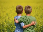 Adult friendships key to lifelong health, global study finds