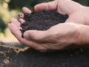 Affordable 480L Compost Bin Helps Gardeners Prepare for Winter