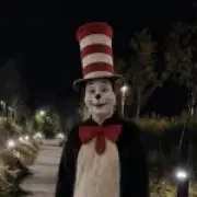 AI Cat in the Hat videos spark teen panic and police responses