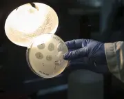 AI-designed viruses raise hopes and biosecurity fears
