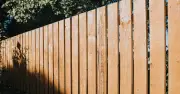 Alan Titchmarsh: Paint Fences Light Grey to Make Gardens Feel Bigger