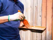 Alan Titchmarsh: Paint fences this colour to make garden feel bigger