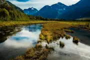 Alaska Marathon Runner Uses Bear Spray to Escape Attack: 'Nightmare Come to Life'