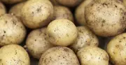 Aldi: Freeze Cooked Potatoes to Stop Sprouting