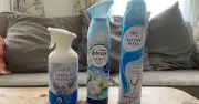 Aldi vs Lidl vs Febreeze air freshener test: one budget option shines