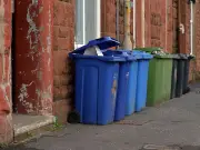 Alexandria campaign targets three-weekly bin collections over vermin fears